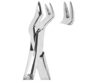 Extracting Forceps American pattern